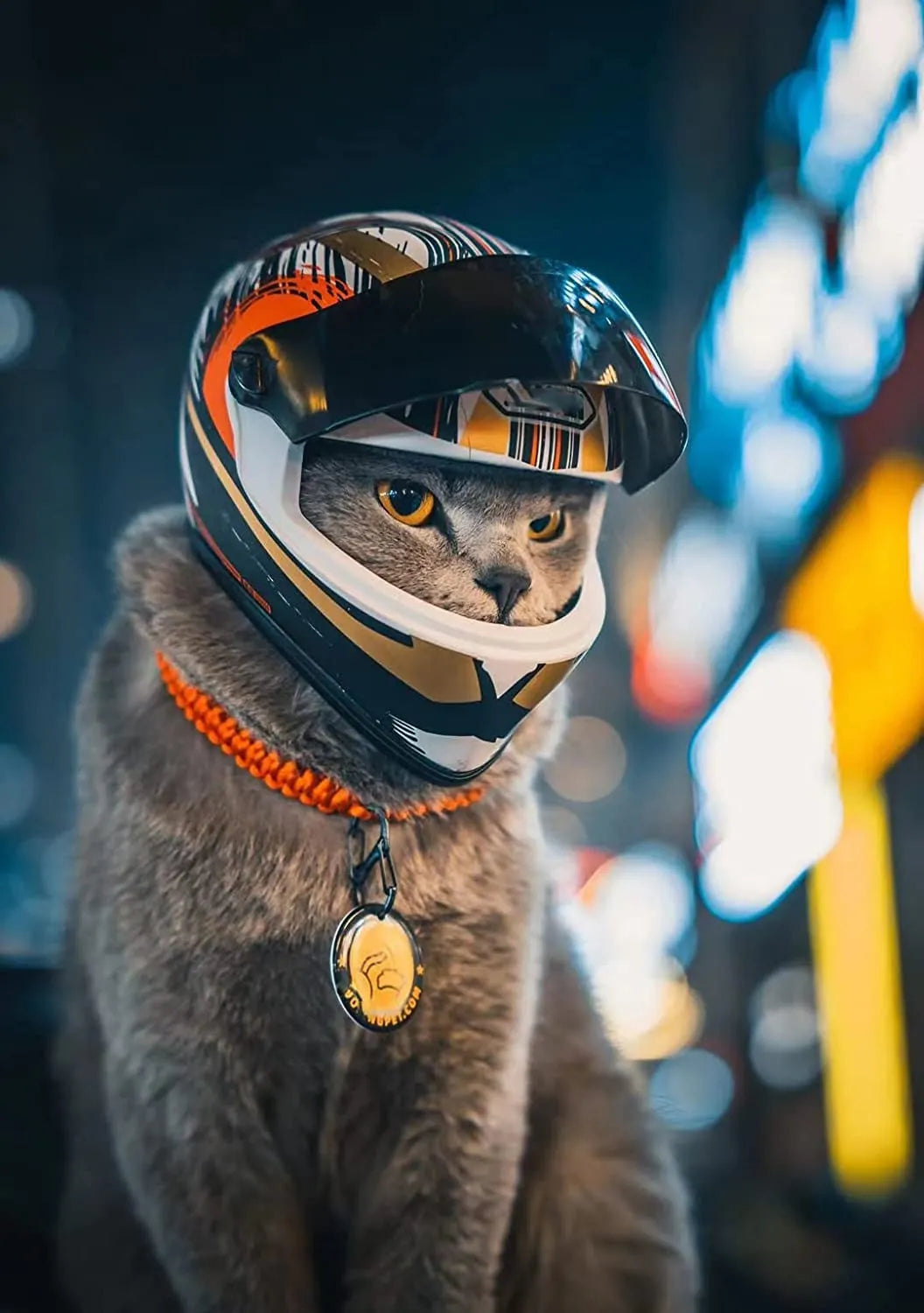 Pet Helmets + Gear